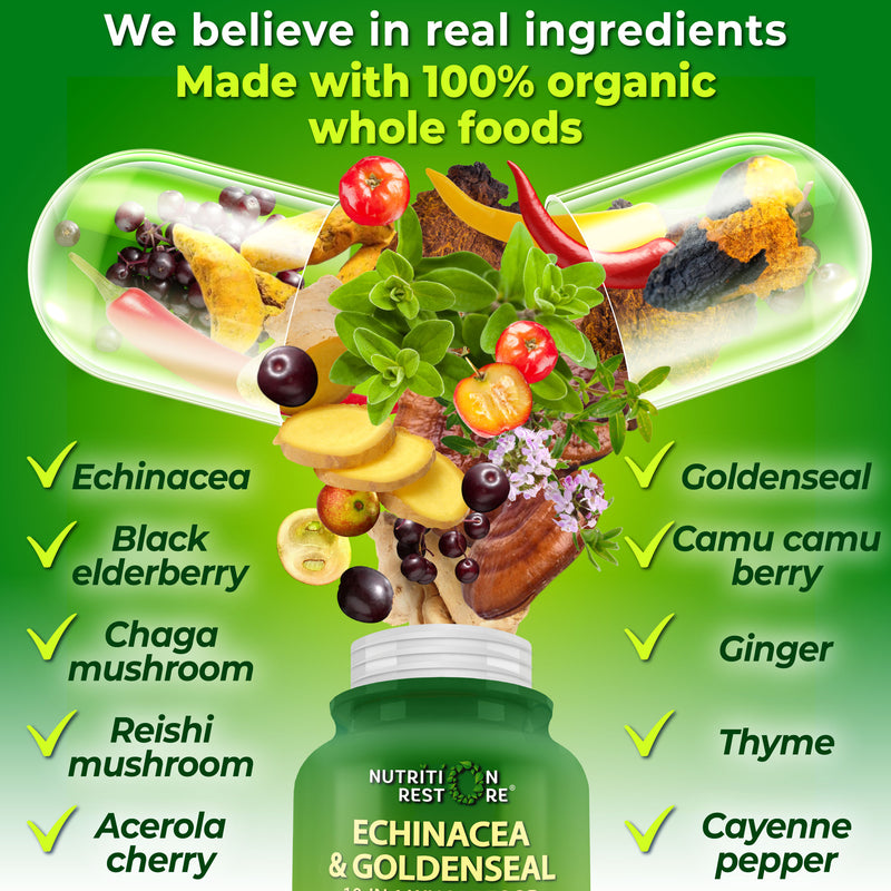 photo of echinacea supplement complex bottle and showcasing all the ingredients in this complex